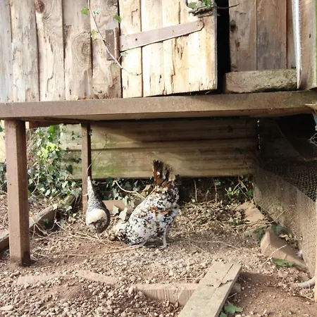 Gite Sous Les Sedums, Maison De Campagne Sous Son Toit Vegetal Dans Les Vosges