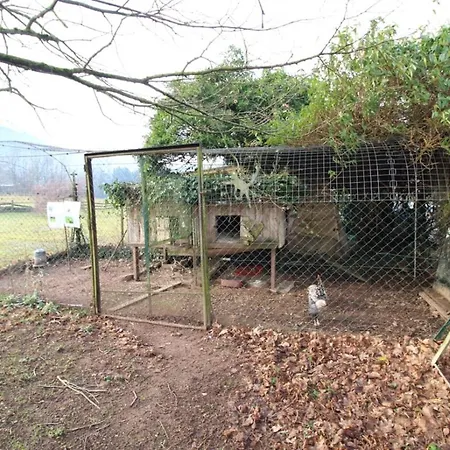 Gite Sous Les Sedums, Maison De Campagne Sous Son Toit Vegetal Dans Les Vosges *