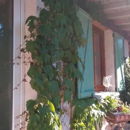 Gite Sous Les Sedums, Maison De Campagne Sous Son Toit Vegetal Dans Les Vosges