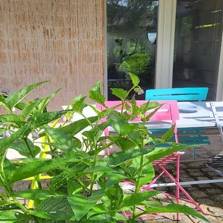Gite Sous Les Sedums, Maison De Campagne Sous Son Toit Vegetal Dans Les Vosges *